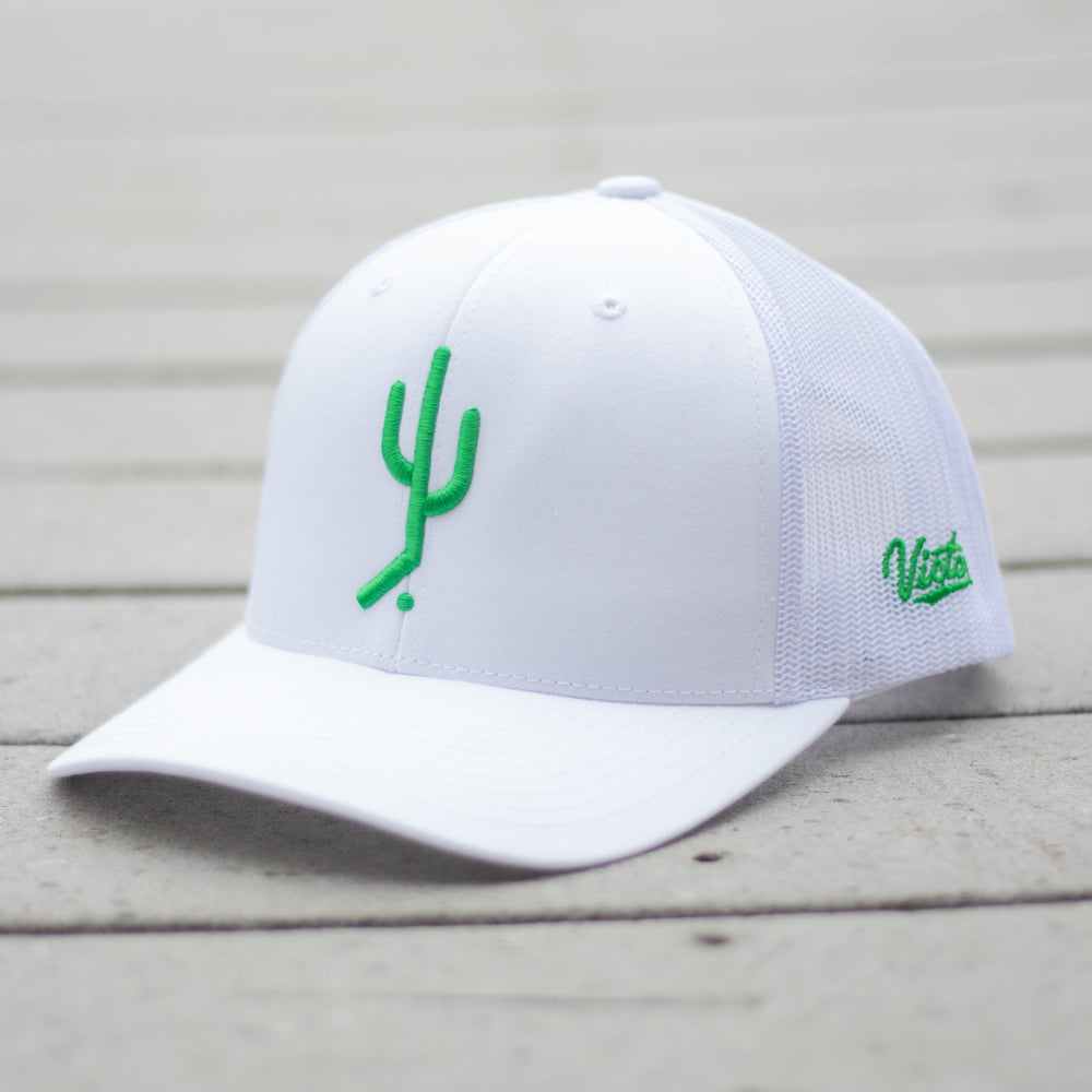 Cactus Mesh Snapback - Low Profile